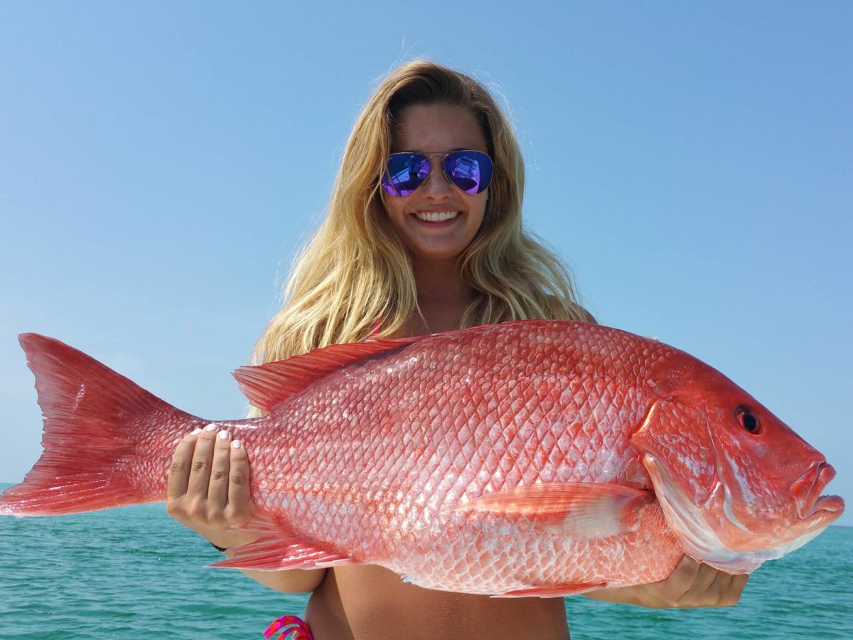 Tips and Tricks for Catching a Red Snapper
